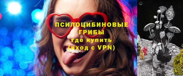дмт Абаза