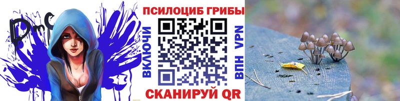 blacksprut ССЫЛКА  Норильск  Галлюциногенные грибы GOLDEN TEACHER 