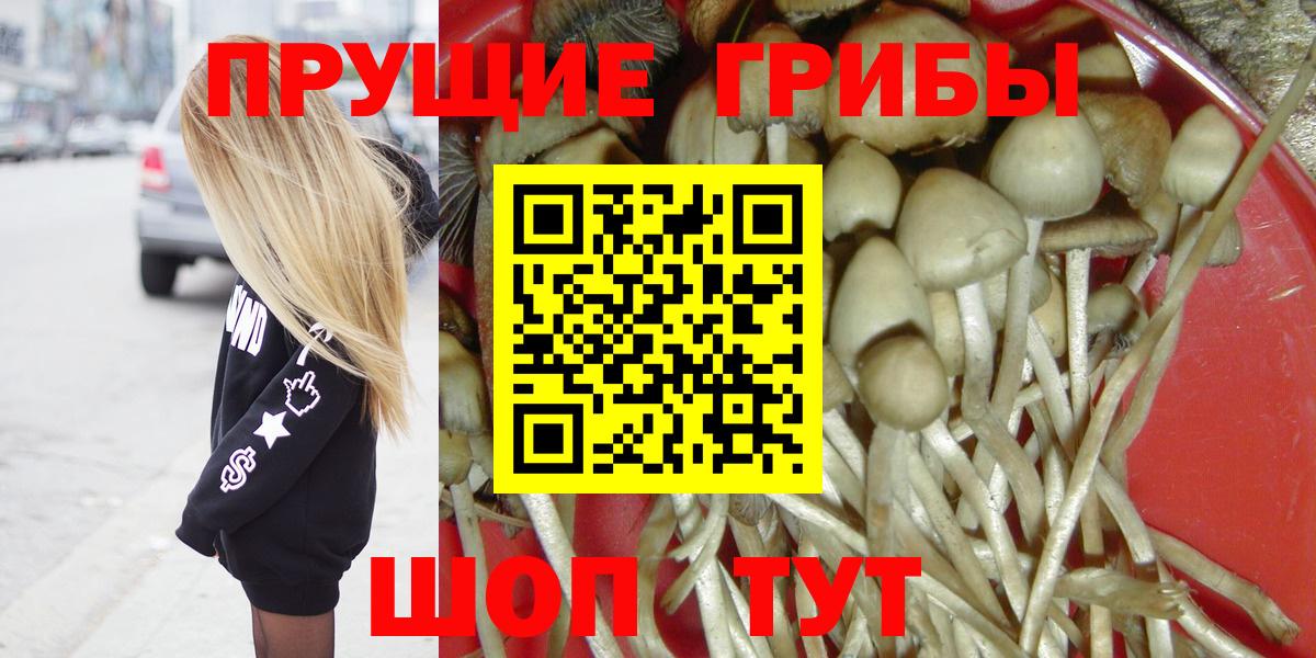 Псилоцибиновые грибы GOLDEN TEACHER  Вход с VPN  Норильск  Псилоцибиновые грибы ЛСД 