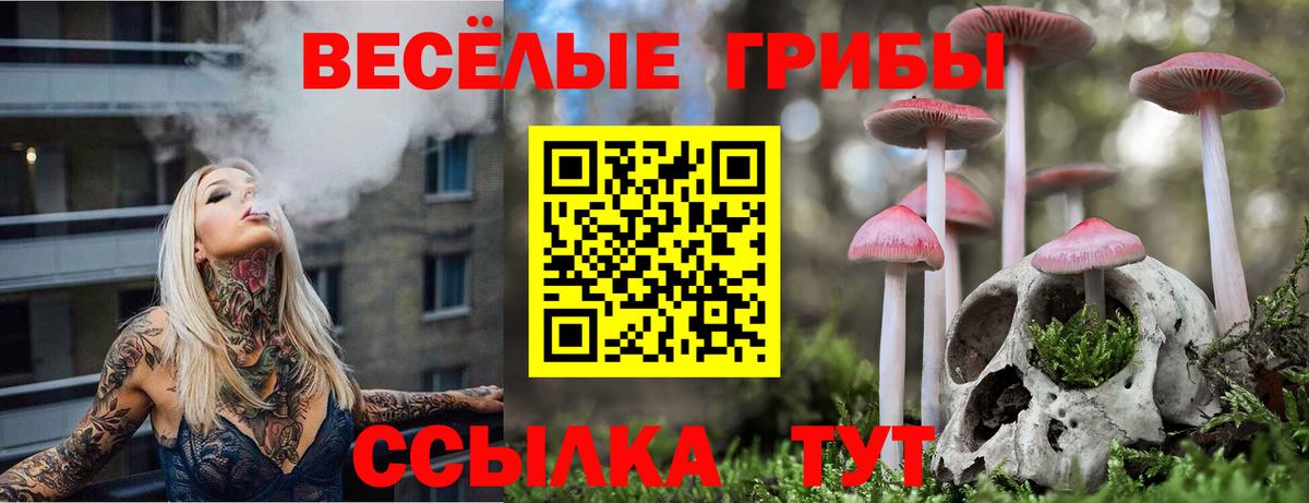 МЕФ Норильск