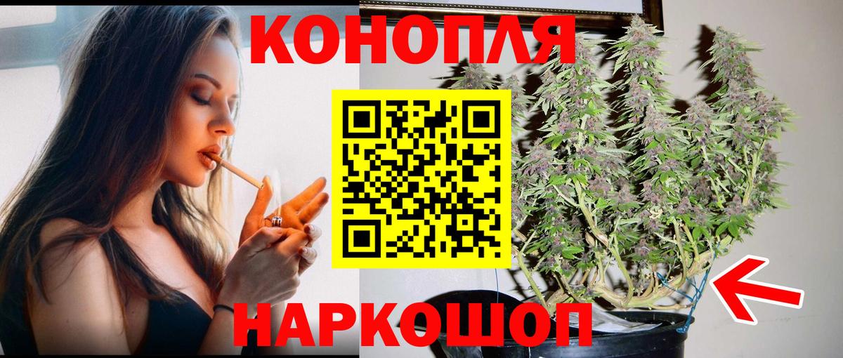Каннабис White Widow  Бошки марихуана сатива  Норильск  Вход с VPN 